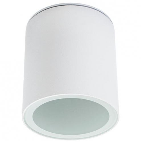 Obrázok pre Kúpelňové vodeodolné prisadené svietidlo SHOWER-O-W MINI , IP44 , 1xGU10 (biela)