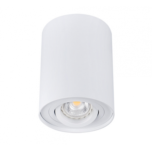 Obrázok pre Kanlux Stropné bodové prisadené svietidlo BORD DLP-50-W valcové (biela)