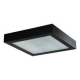 Obrázok pre Lampa Luster PLATO štvorcový 300x300mm , 2xE27 , čierna