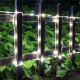 Obrázok pre LED svetelný had IP44 1w/m 230V - Studená biela - 2M